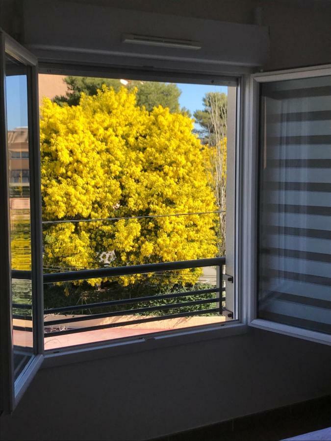 Appart' Au Port Daire Fréjus Dış mekan fotoğraf